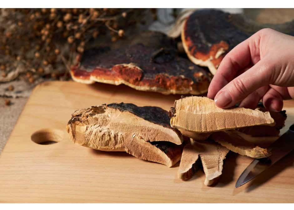 Reishi-Ganoderma-lucidum